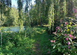 seegut_blaue_blume_natur-1-1