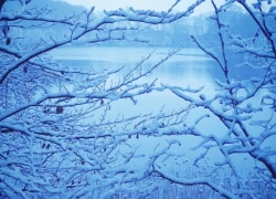 seegut_blaue_blume_winter_umgebung_3