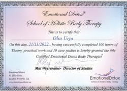 Screenshot-2022-12-09-at-11.02.29
