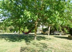 Garden-Hammocks
