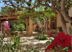 Patio-with-flowers