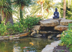 buddha-at-pond-Kopie